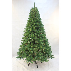 Pre-lit Stonehill 7.5' Green Pine Christmas Tree with 700 Clear Lights with Stand