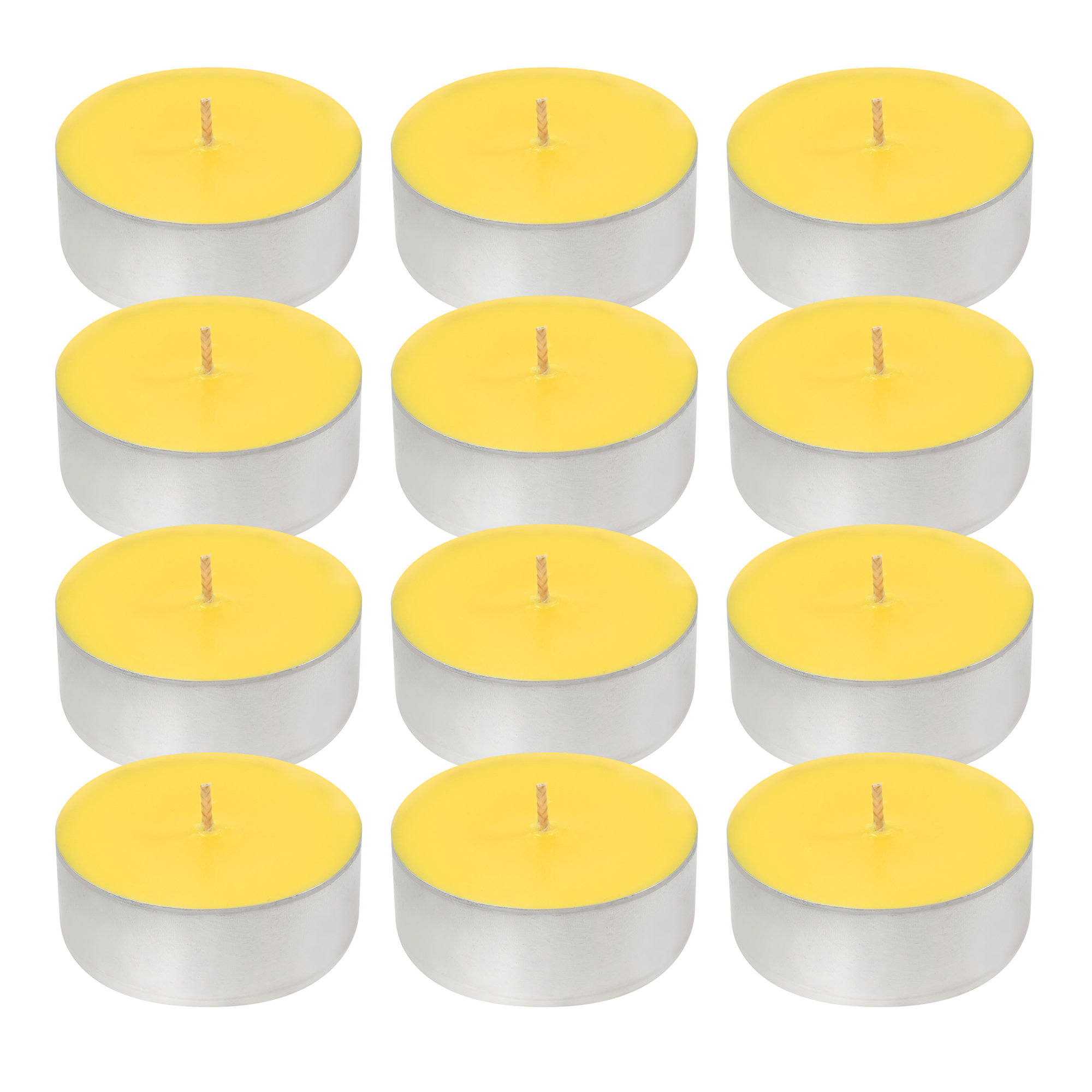 LumaBase Extra Large Citronella Tea Light Candles & Reviews Wayfair