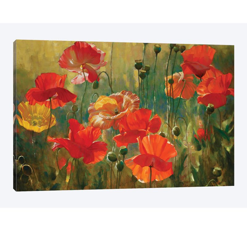Brambly Cottage Poppy Fields By Emma Styles Graphic Art Print On Wrapped Canvas Wayfair Co Uk