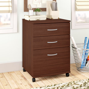 Campus 3-Drawer Mobile Vertical File by Ebern Designs