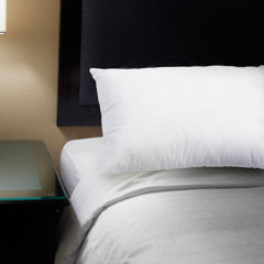 chaps beyond down pillow