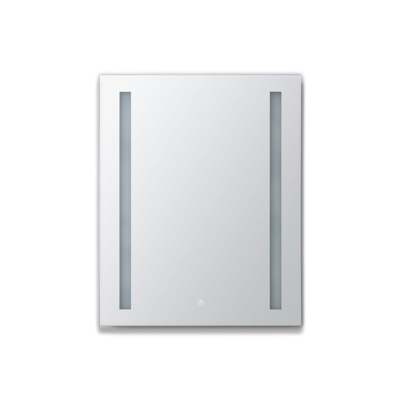 Orren Ellis Dili 24 X 30 Recessed Or Surface Mount Frameless