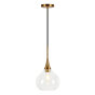 Wade Logan® Hollins 1 - Light Single Teardrop Pendant & Reviews | Wayfair