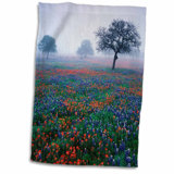 Texas Blue Bonnet Wayfair