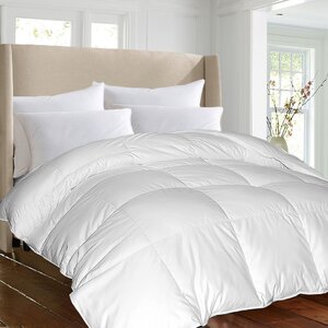 All Season Down Alternative Comforter