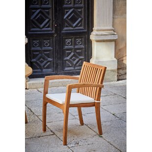 Manahan Garden Chair With Cushion Image