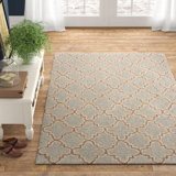 Farmhouse Rustic Boys Area Rugs Birch Lane