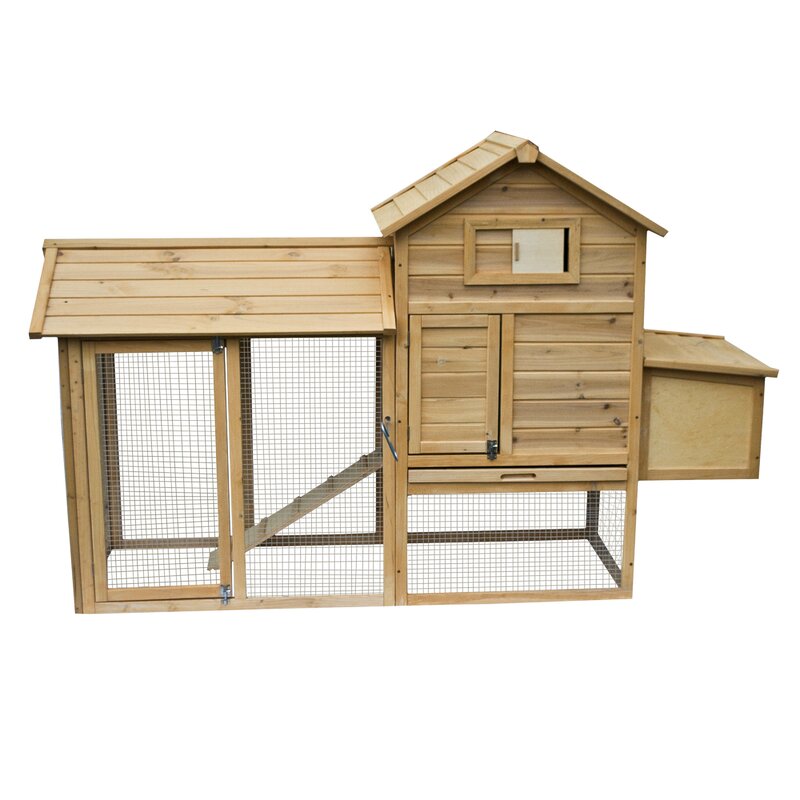 Multi Level Wooden Chicken Coop