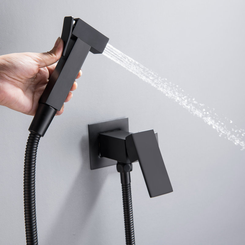 Stainless Steel Hand Held Bidet Finish: Black