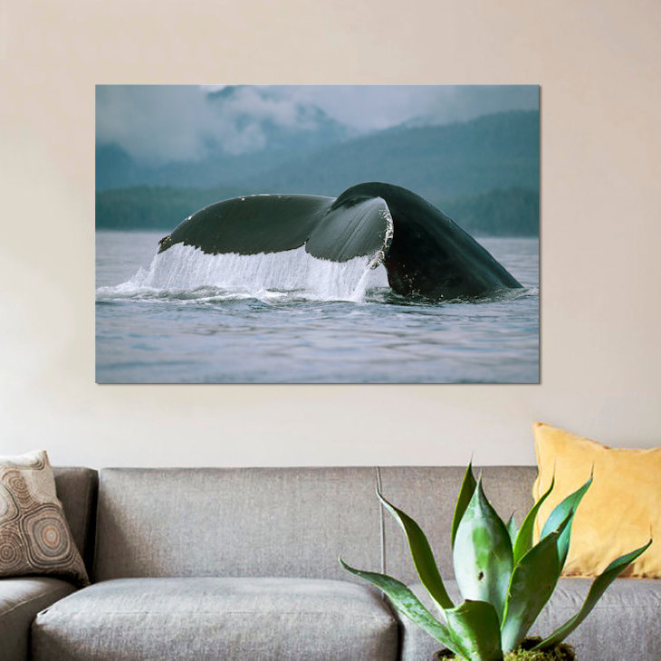 East Urban Home Humpback Whale Tail Alaska Photographic Print