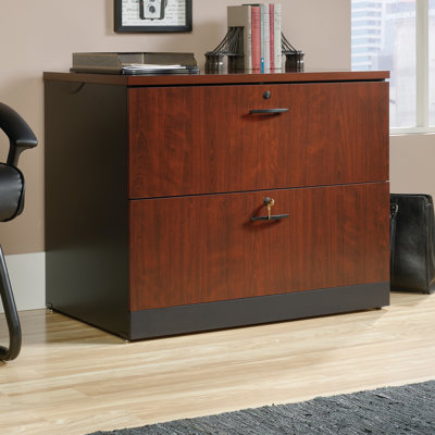 Castalia Lateral File 2 Drawer Lateral Filing Cabinet Red Barrel