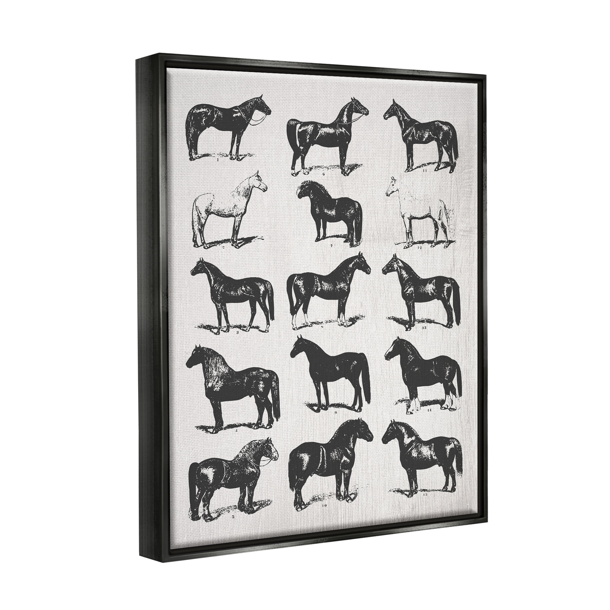 Gracie Oaks Vintage Varied Horse Breeds By Daphne Polselli - Graphic Art On  Canvas | Wayfair