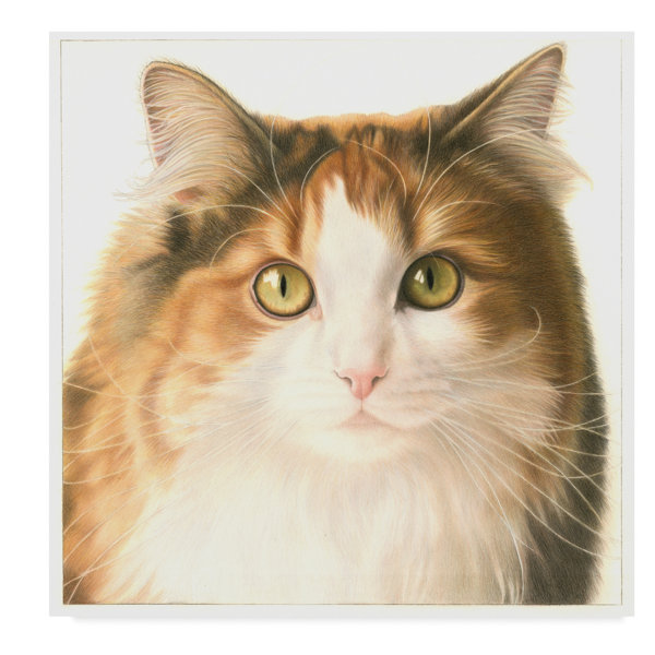 Trademark Art Orange Cat Portrait Acrylic Painting Print On