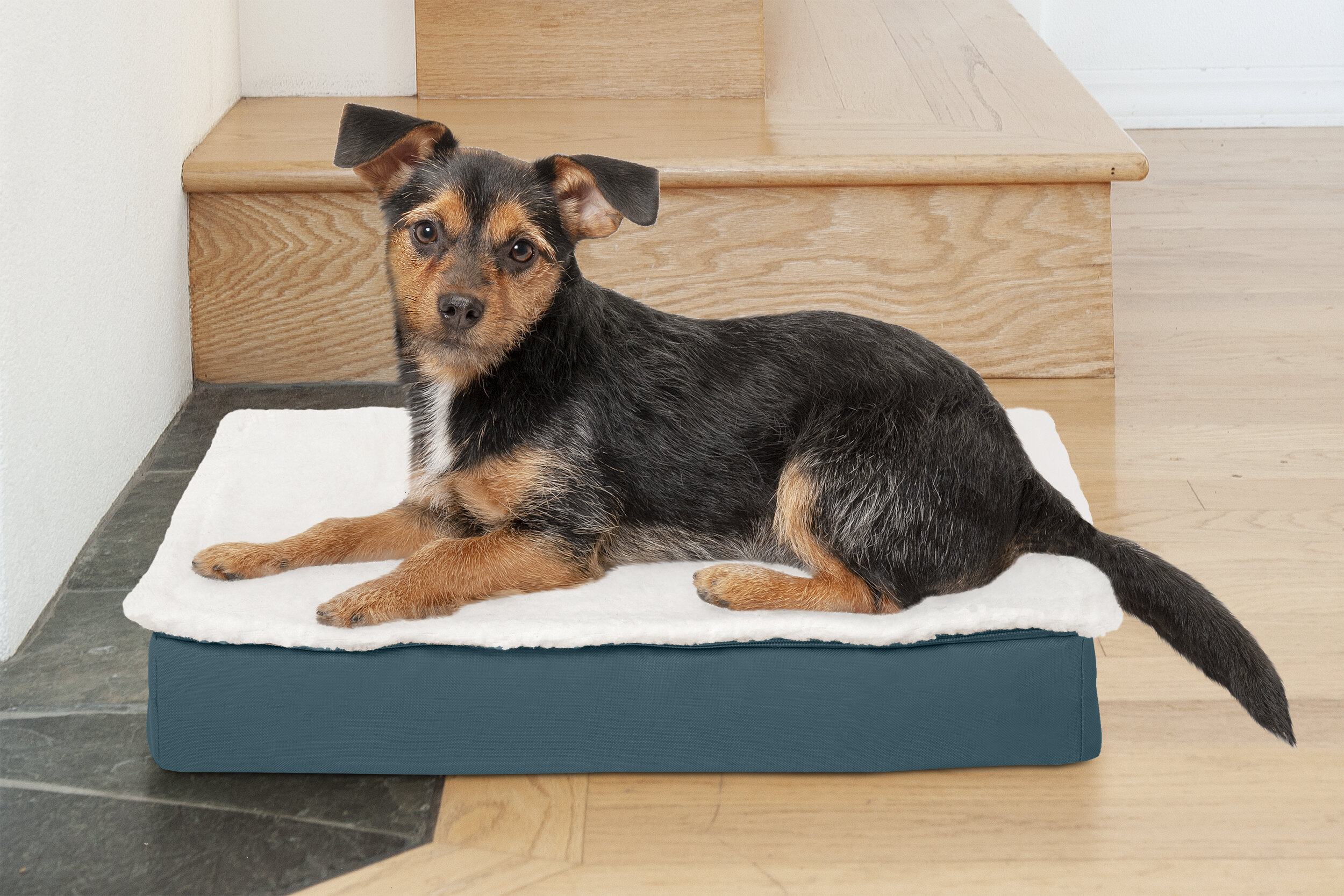 dog memory foam bed