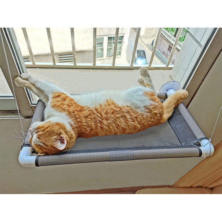 extra large cat beds