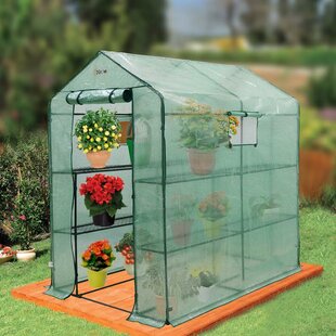 Greenhouses You'll Love | Wayfair