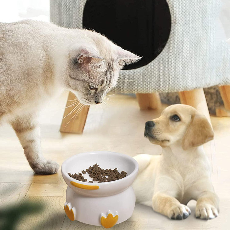 flat face cat bowl