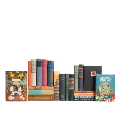 Authentic Decorative Books  Custom Set Latin American History  Culture Set of 20 Booth  Williams