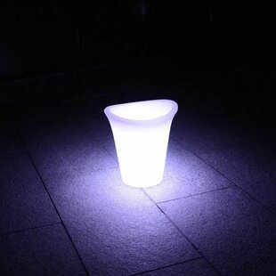 Ilana 1 Light LED Decorative And Accent Light By Sol 72 Outdoor