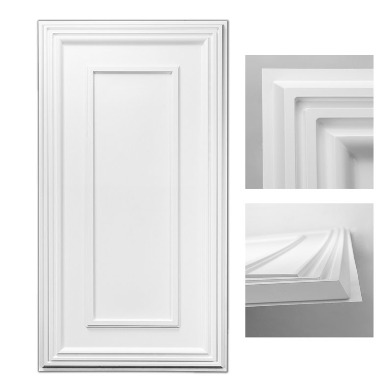 4 ft. x 2 ft. Drop-In PVC Ceiling Tile Color: White