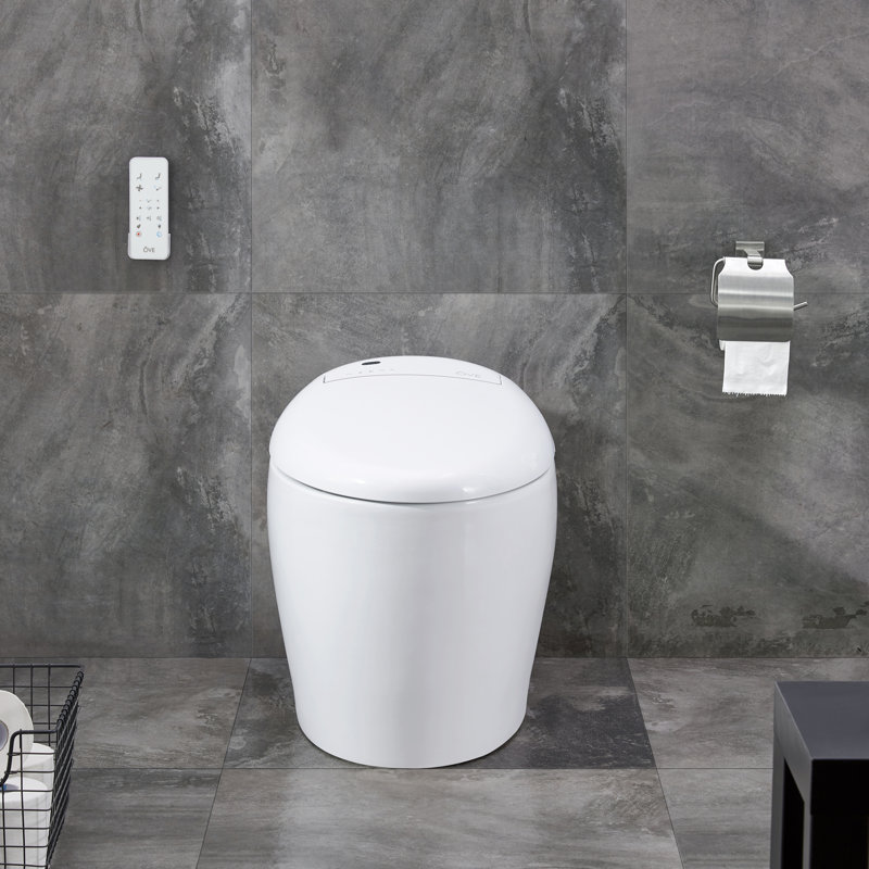 Ove Decors Tuva Smart Toilet 20 Floor Mount Bidet Reviews Wayfair