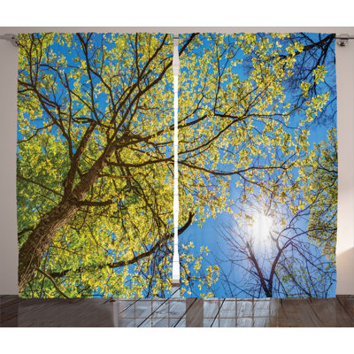 Tree Branch Curtain Rod Wayfair