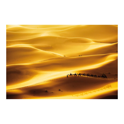 Golden Dunes 2.9m x 4.32m Textured Matt Peel & Stick Wall Mural East Urban Home
