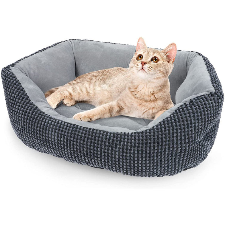 wayfair pet beds