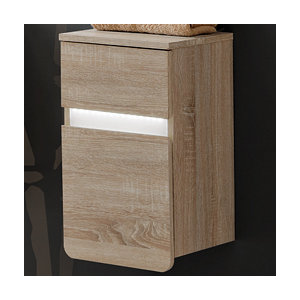30 x 54 cm Wandschrank Sofi von Belfry Bathroom