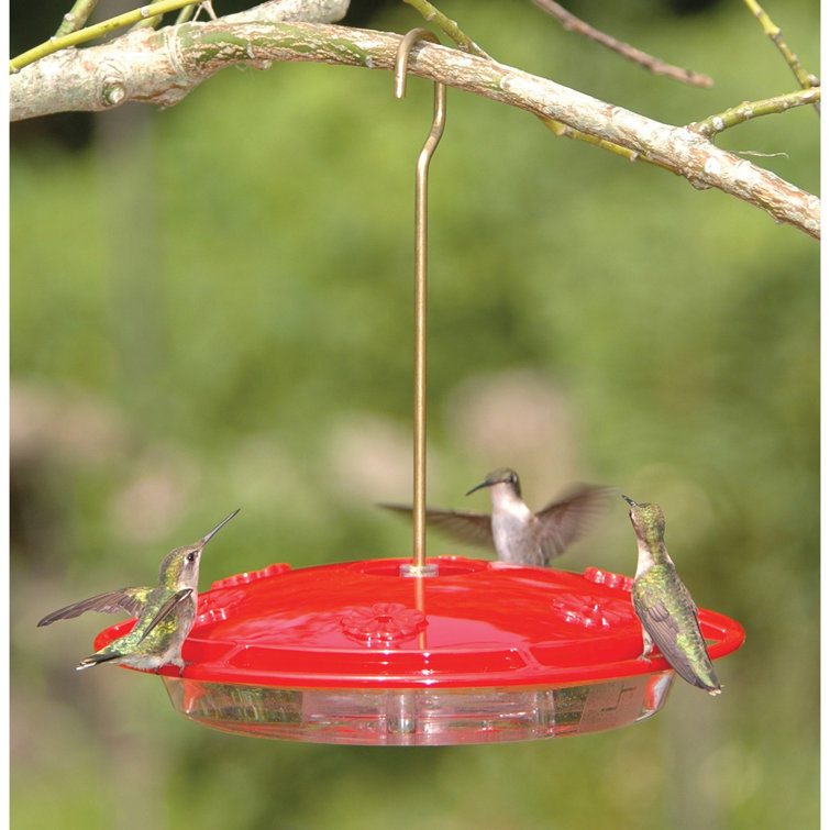 humming bird stuff