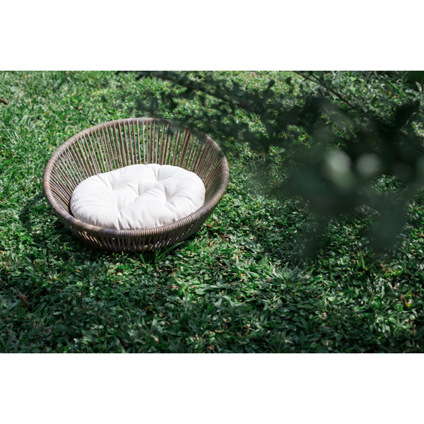 wicker outdoor dog bed