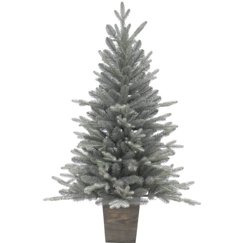 The Holiday Aisle Sterling Spruce Potted 4' Snow Pine ...