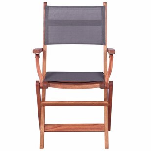 Berumen Folding Garden Chair (Set Of 2) By Sol 72 Outdoor
