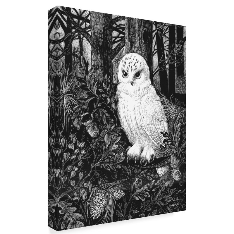 Trademark Art Owl White Acrylic Painting Print On Wrapped Canvas Wayfair