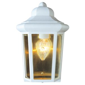 1-Light Outdoor Flush Mount