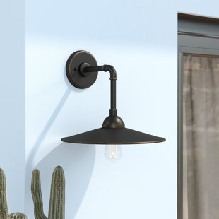 Best Elk Grove 1-Light Outdoor Barn Light By Trent Austin Design Outdoor Lighting Elk Grove 1-Light Outdoor Barn Light By Trent Austin Design Outdoor Lighting