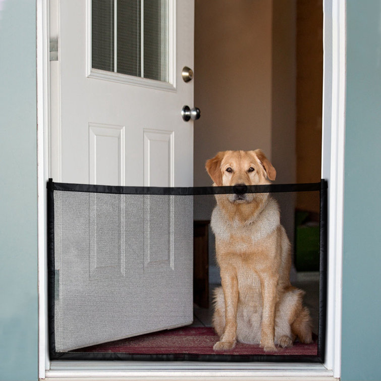 wayfair pet fence