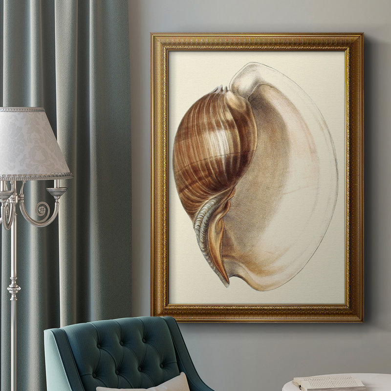 Splendid Shells III - Picture Frame Painting on Canvas Size: 27" H x 18" W x 2.5" D