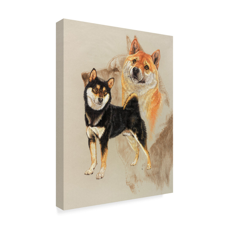 Trademark Art Sheba Inu Oil Painting Print On Wrapped Canvas