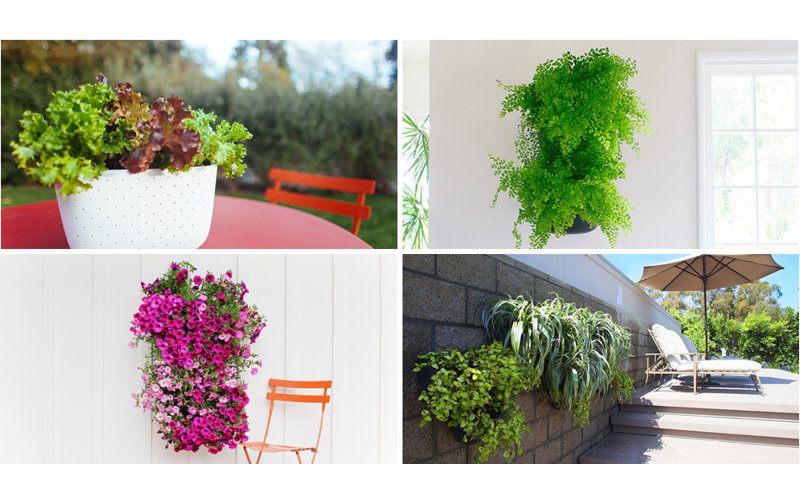 Woolly Pocket Plastic Wall Planter & Reviews Wayfair