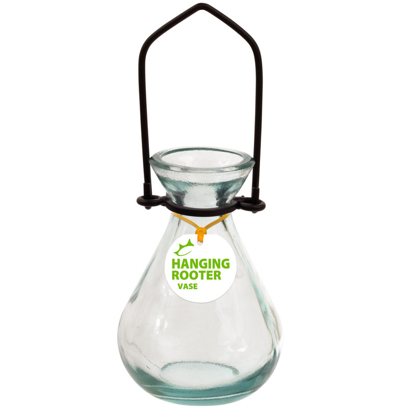 Couronne Teardrop Hanging Recycled Glass Rooting Wall Vase Wayfair
