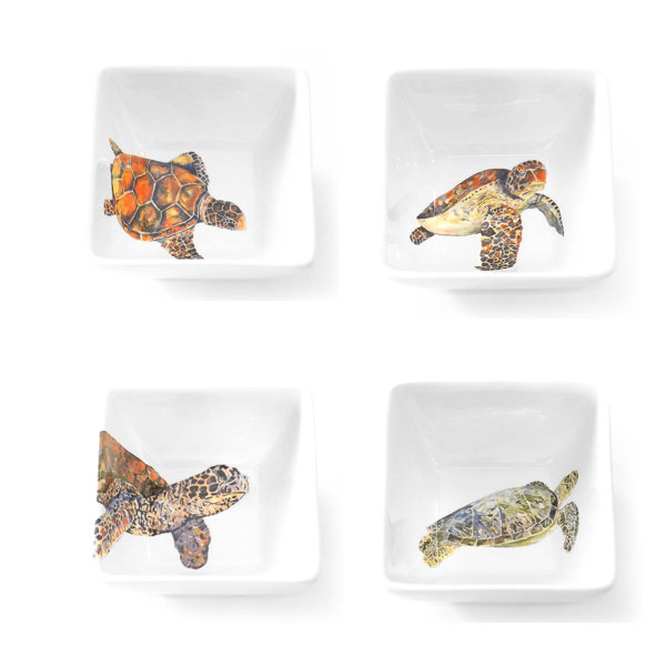 Turtle Bowl Wayfair
