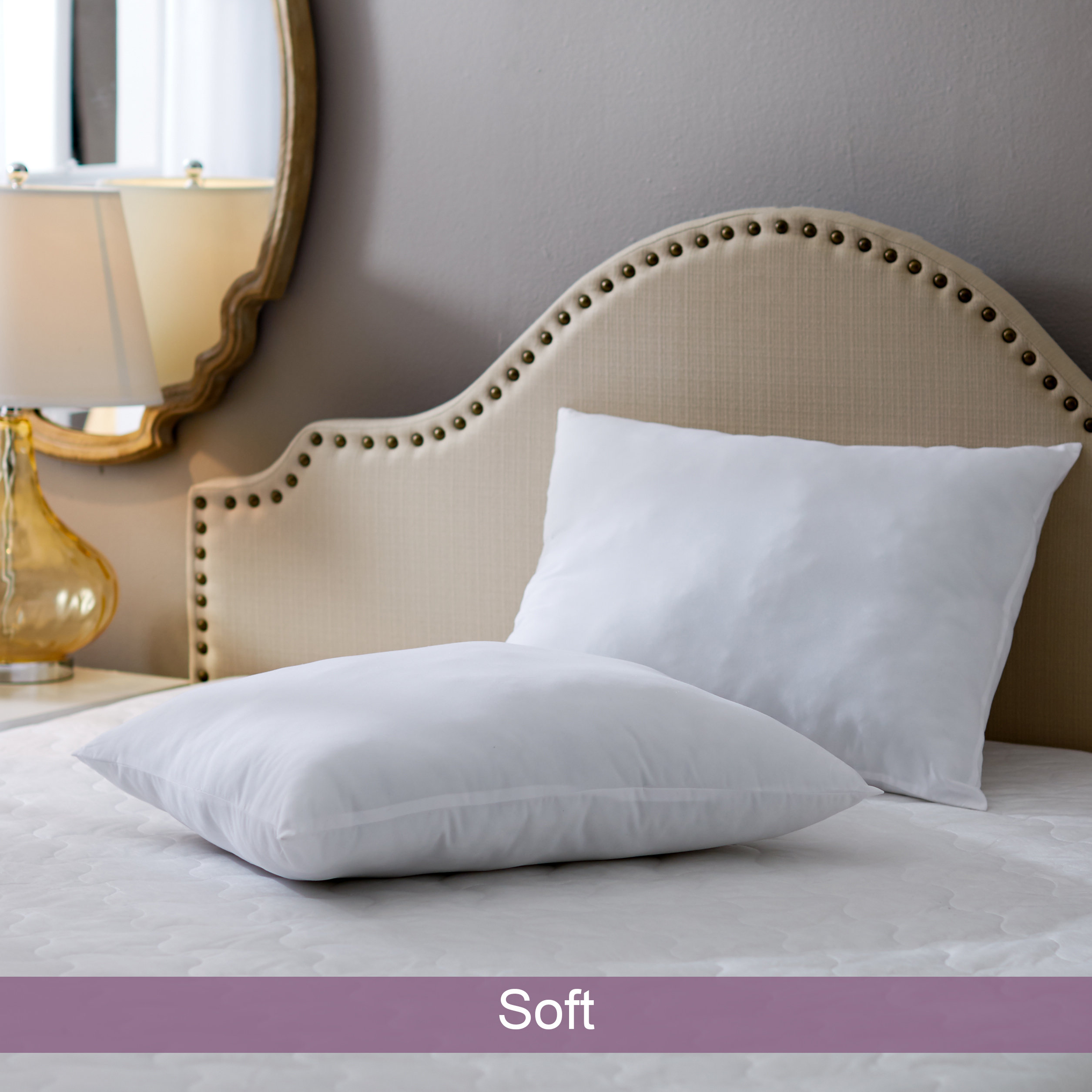 Wayfair Basics Plush Bed Pillow Reviews Wayfair