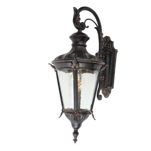 Leonardo 1-Light Outdoor Wall Lantern