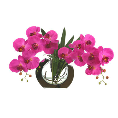 Orchid Floral Arrangement in Vase