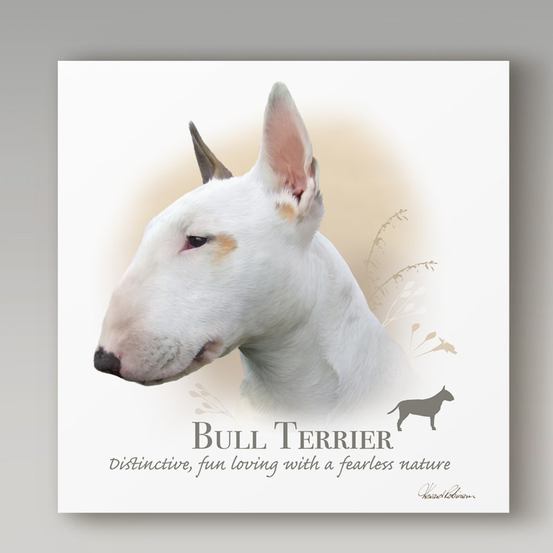bull terrier beige