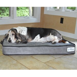 Serenity Lounge Dog Bed- Solid 4