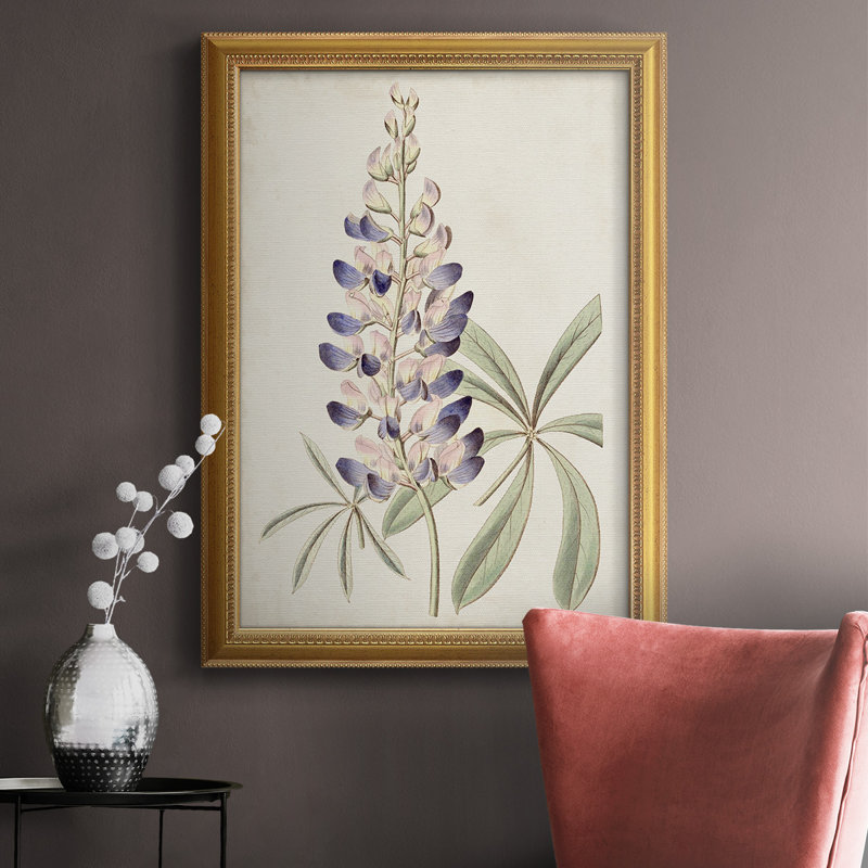 Antique Botanical Collection II Premium Framed Canvas- Ready To Hang