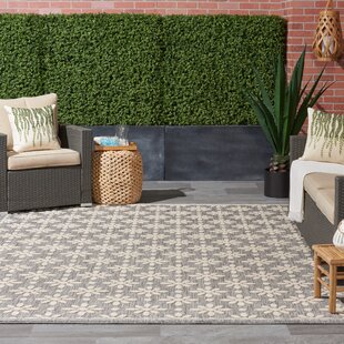 Farmhouse Rustic Flat Pile Area Rugs Birch Lane