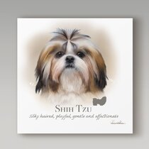 iCanvasART 3 Piece Shih Tzu Canvas Print by Dean Russo 60 by 40/0.75 Deep 